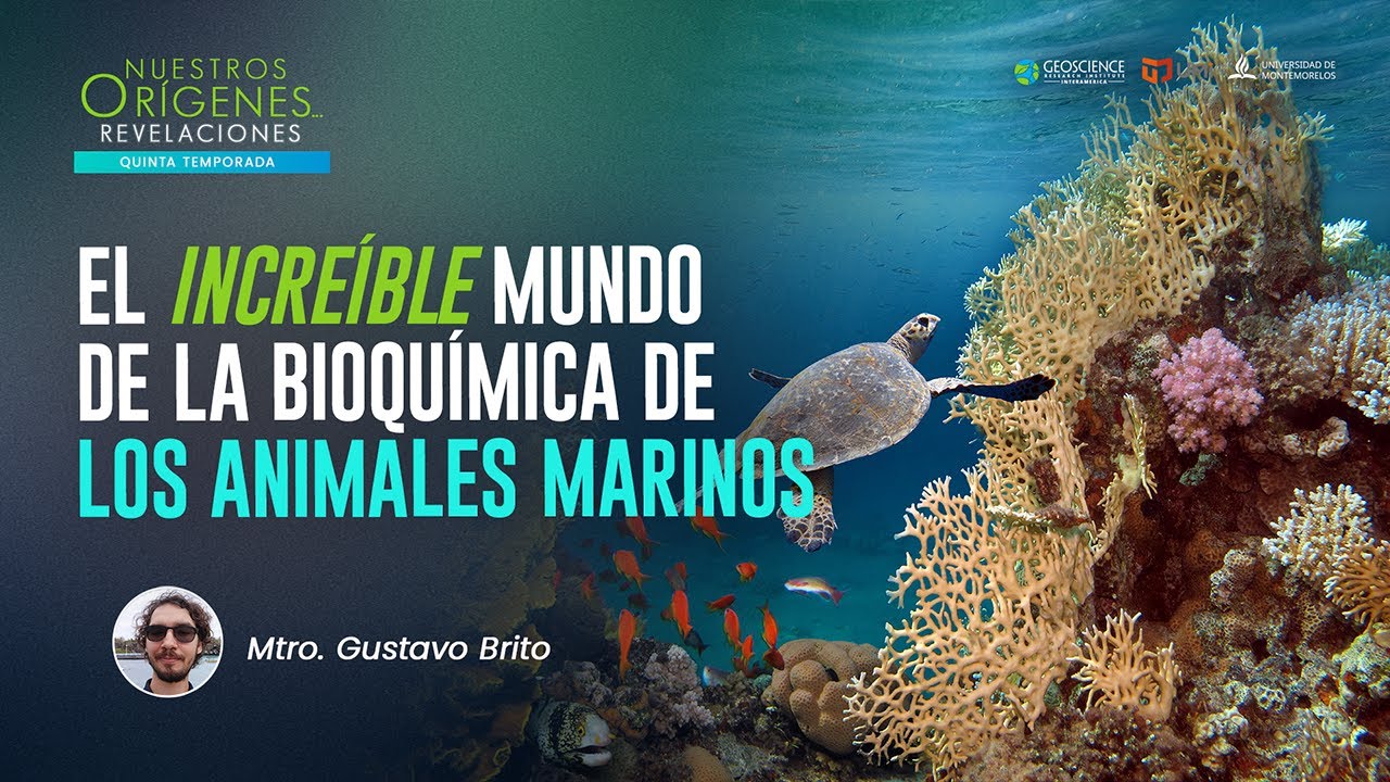 EL INCREÍBLE MUNDO DE LA BIOQUÍMICA DE LOS ANIMALES MARINOS