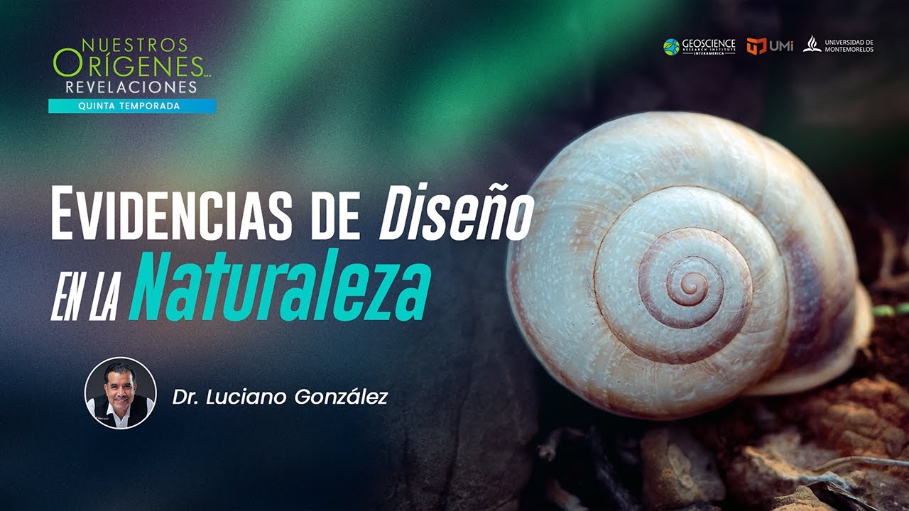 EVIDENCIAS DE DISEÑO EN LA NATURALEZA