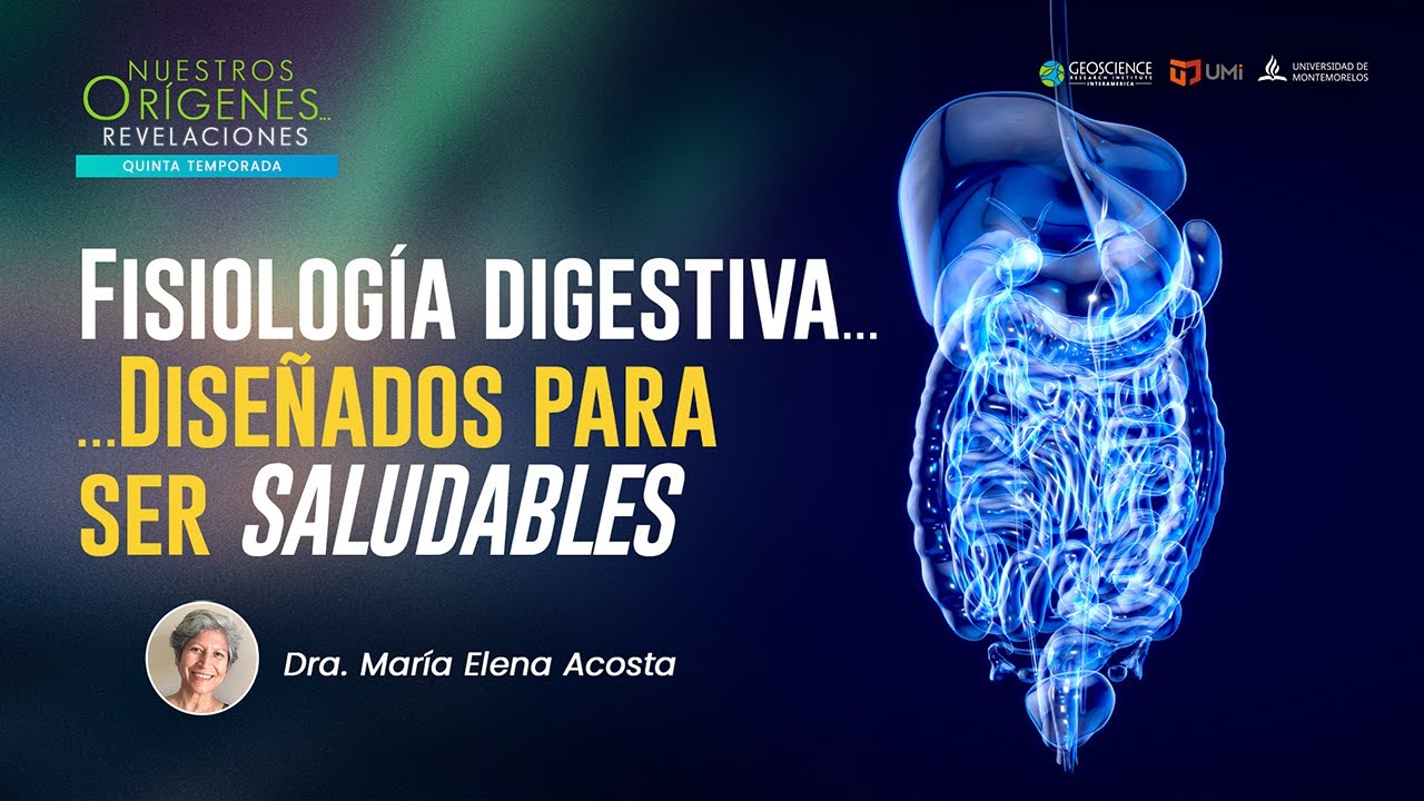 FISIOLOGÍA DIGESTIVA… DISEÑADOS PARA SER SALUDABLES