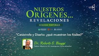 CATÁSTROFE Y DISEÑO: ¿QUÉ MUESTRAN LOS FÓSILES?