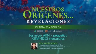 LOS MICRO ARN: PEQUEÑOS GRANDES MENSAJEROS