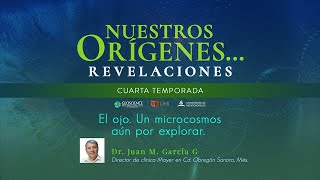 EL OJO, UN MICROCOSMOS AÚN SIN EXPLORAR